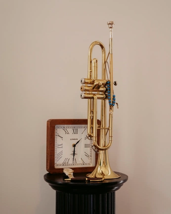 A cover of "86" cluster. The owner is the86ed. The cluster consists of 1 element.