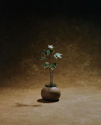 A cover of "Eden" cluster. The owner is parkerdotstudio. The cluster consists of 3 elements.