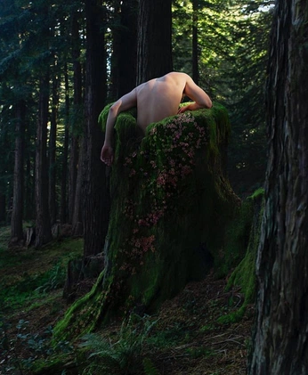 A cover of "The Woods SPE" cluster. The owner is teddykloun. The cluster consists of 28 elements.