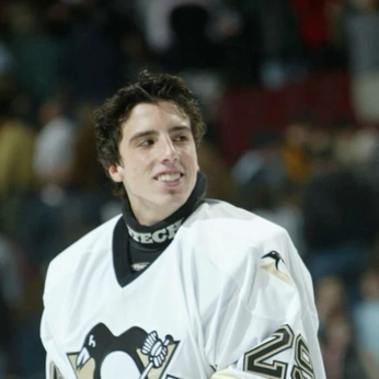 A cover of "hockey" cluster. The owner is glopez67. The cluster consists of 493 elements.