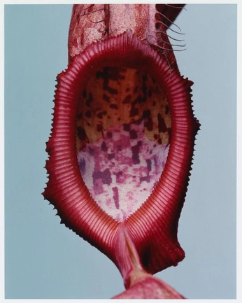 A cover of "form2.0" cluster. The owner is fullstudio. The cluster consists of 33 elements.