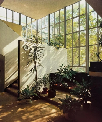 A cover of "palmdeco" cluster. The owner is mihaibumbu. The cluster consists of 73 elements.