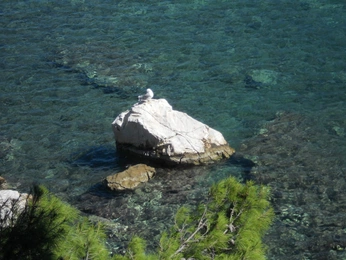 A cover of "nature 🪐" cluster. The owner is sliwa. The cluster consists of 13 elements.