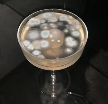 A cover of "new" cluster. The owner is sannehulsbosch. The cluster consists of 1 element.