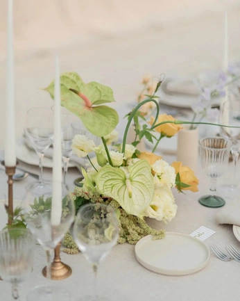 A cover of "palette" cluster. The owner is inthemood4luv. The cluster consists of 4 elements.