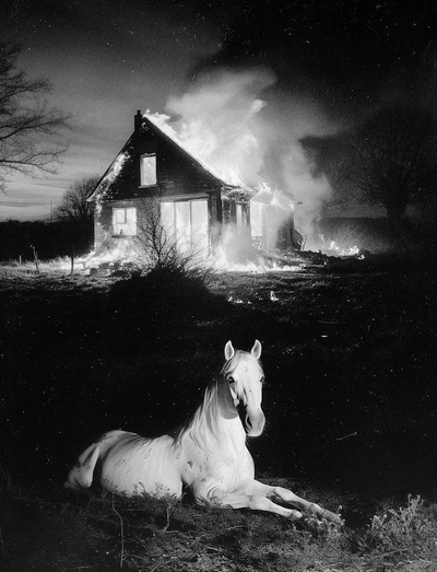 An image added by cardin on Nov 06, 2024. May present: photograph, photography, serchia gallery.