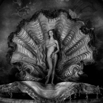 A cover of "Photo" cluster. The owner is sheee. The cluster consists of 13 elements.