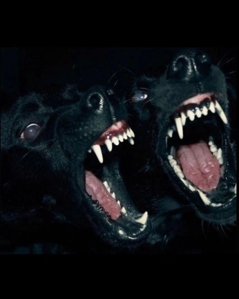 A cover of "REBOOT" cluster. The owner is dummyhuman. The cluster consists of 12 elements.