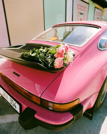 A cover of "PalmPikePetSitting" cluster. The owner is taylrmade. The cluster consists of 3 elements.