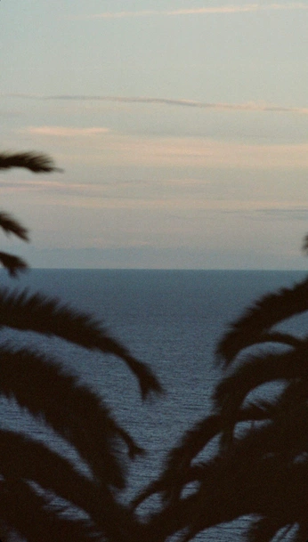 A cover of "My Own Brand moodboard" cluster. The owner is pietro182. The cluster consists of 121 elements.