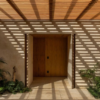 A cover of "Canopy | Divisions" cluster. The owner is curatio. The cluster consists of 23 elements.