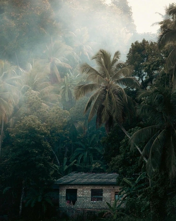 A cover of "Zorya" cluster. The owner is thetagi. The cluster consists of 30 elements.