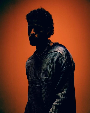 A cover of "The Weeknd" cluster. The owner is crisara. The cluster consists of 25 elements.