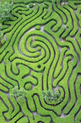 A cover of "Intuition" cluster. The owner is ryanrene. The cluster consists of 14 elements.