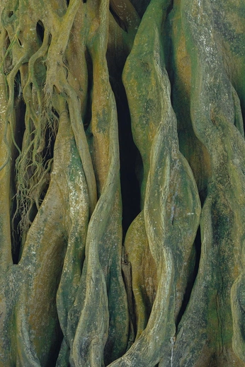 A cover of "texture" cluster. The owner is ayaataeva. The cluster consists of 6 elements.