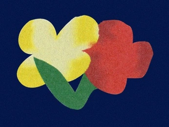 A cover of "Graphic Inspo" cluster. The owner is perrofragil. The cluster consists of 8 elements.