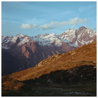 A cover of "Montagnard" cluster. The owner is lourseflorale. The cluster consists of 78 elements.