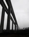 Cover of Through my ... cluster