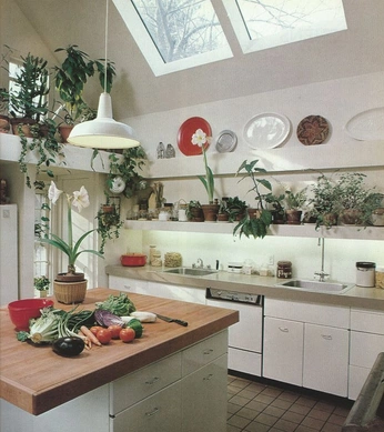 A cover of "Kitchen" cluster. The owner is liliasap23. The cluster consists of 1 element.