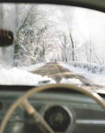 A cover of "Yuletide" cluster. The owner is chasingcomets. The cluster consists of 97 elements.