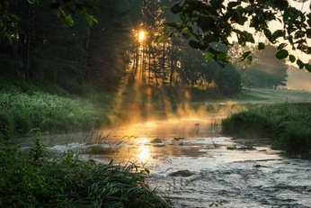 A cover of "Nature" cluster. The owner is loversinruins. The cluster consists of 4 elements.