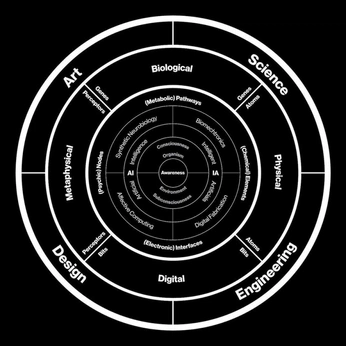 A cover of "Thinking" cluster. The owner is pirate22. The cluster consists of 67 elements.