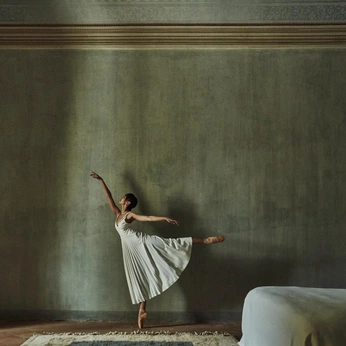 A cover of "ballet" cluster. The owner is sophiehunter. The cluster consists of 2 elements.