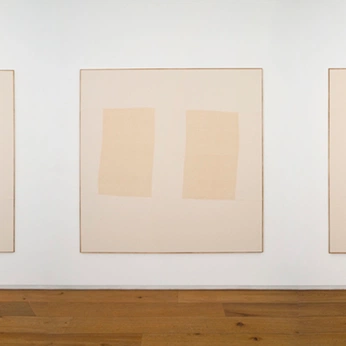 A cover of "Fine Art" cluster. The owner is rp. The cluster consists of 65 elements.