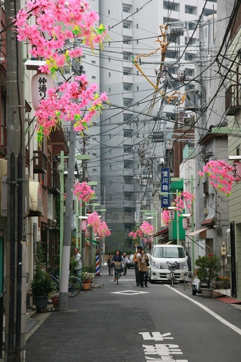 A cover of "JPN" cluster. The owner is rednalas. The cluster consists of 36 elements.