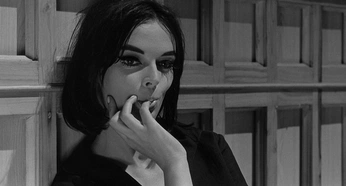 A cover of "VISUAL STUDY" cluster. The owner is jakob03. The cluster consists of 3 elements.