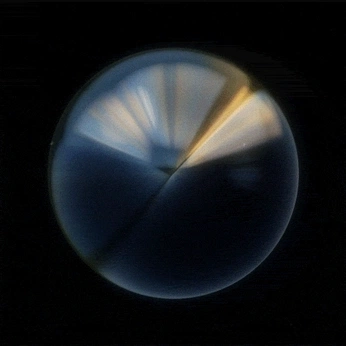 A cover of "New Harmony" cluster. The owner is sergi. The cluster consists of 31 elements.