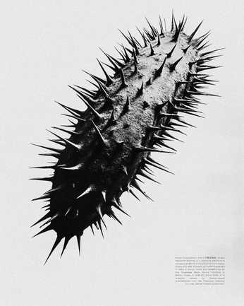 A cover of "83" cluster. The owner is mani83. The cluster consists of 8 elements.