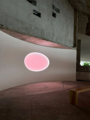 A cover of "Light and beauty" cluster. The owner is iriivella. The cluster consists of 1 element.