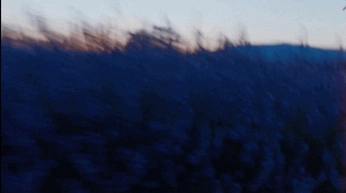 A cover of "Cinemas" cluster. The owner is dinocastaneda. The cluster consists of 3 elements.