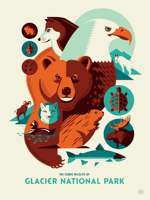 A poster in flat orange, teal and cream: a grizzly at the center, ringed by the park&rsquo;s other animals in circles.