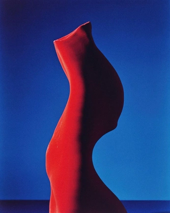 A cover of "Vestido" cluster. The owner is colindancel. The cluster consists of 40 elements.