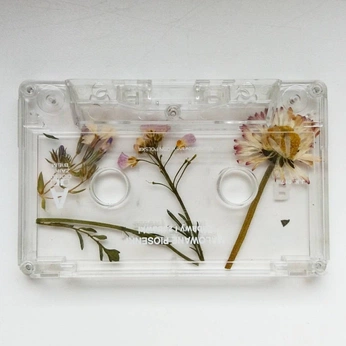 A cover of "videoteca" cluster. The owner is thomnova. The cluster consists of 6 elements.