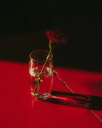 A cover of "Make it red" cluster. The owner is chips.ahoy. The cluster consists of 2 elements.