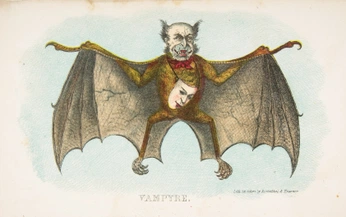 A cover of "utilities" cluster. The owner is acoyote. The cluster consists of 2 elements.