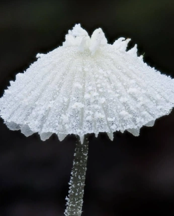 A cover of "modellbau" cluster. The owner is lisanehls. The cluster consists of 6 elements.