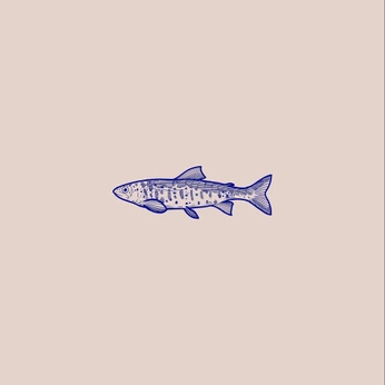 A cover of "fish" cluster. The owner is lynkladaki. The cluster consists of 7 elements.