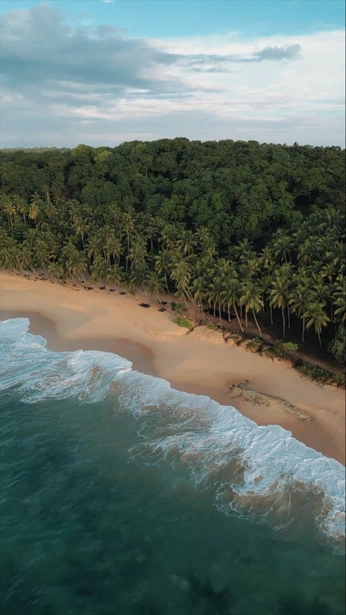 A cover of "Feed data for AO-Srilank" cluster. The owner is marufhossain. The cluster consists of 5 elements.