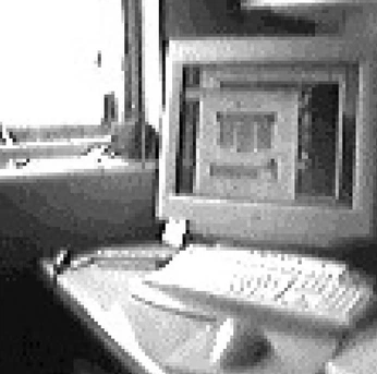 A cover of "www" cluster. The owner is mysterese. The cluster consists of 12 elements.