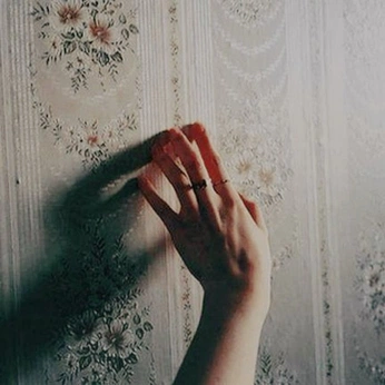 A cover of "Aurora Solis" cluster. The owner is heatherx. The cluster description is "If you search for darkness, thats all youll ever find. ". The cluster consists of 43 elements.