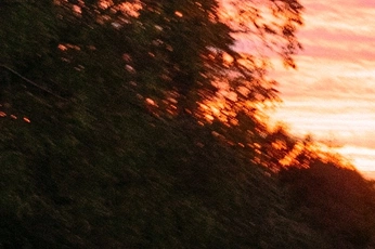 A cover of "film" cluster. The owner is wikipay007. The cluster consists of 9 elements.