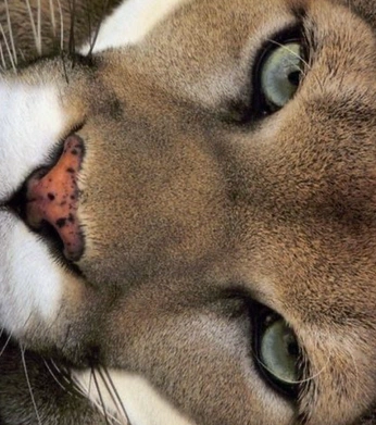 A cover of "i think of you" cluster. The owner is lillemor. The cluster consists of 2 elements.