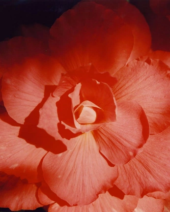 A cover of "moon painting" cluster. The owner is emma.rawr. The cluster consists of 12 elements.