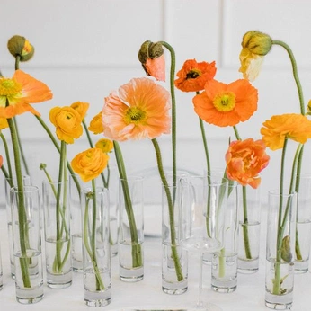 A cover of "Floral Design" cluster. The owner is shannon. The cluster consists of 26 elements.