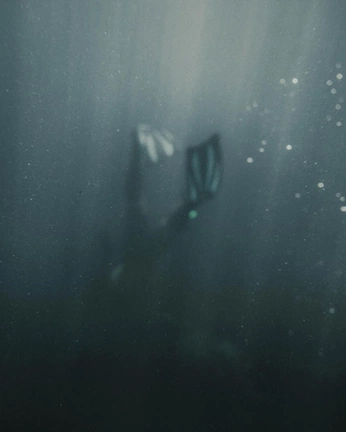 A cover of "Diver" cluster. The owner is steynphotography. The cluster consists of 21 elements.