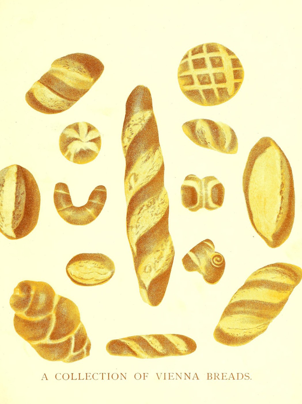 685c82dd-cf2b-4da2-b1e7-b2ab8c2b5e14